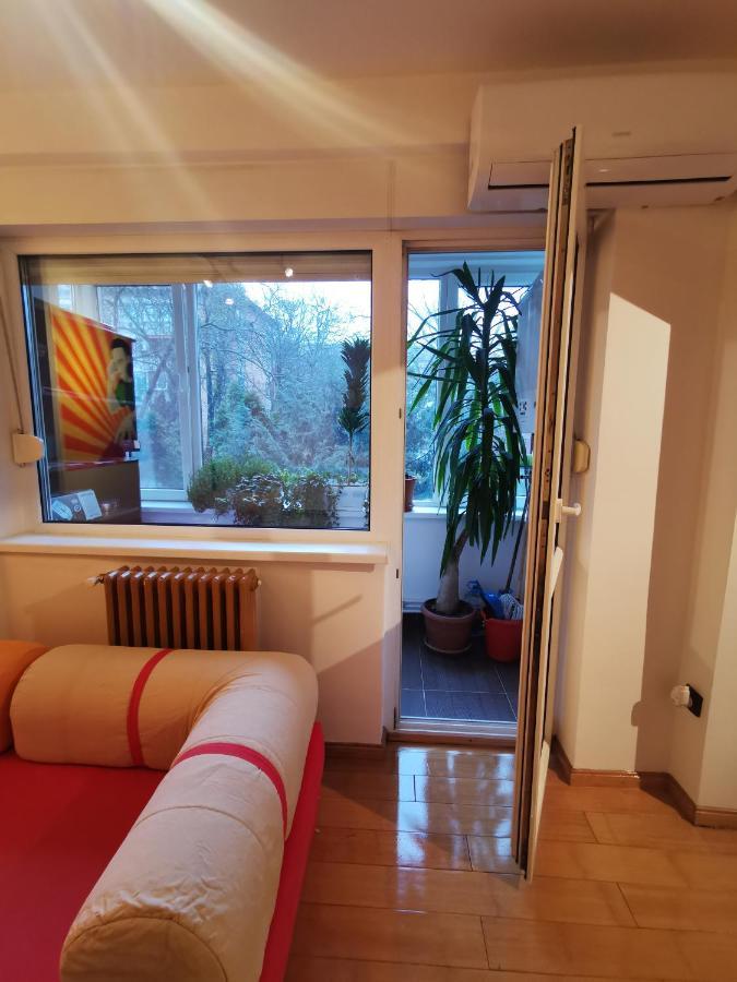 Comfy & Pleasant Apartment 10 Min Walk To Downtown Timişoara Exteriör bild
