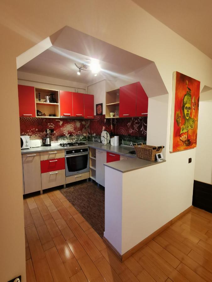 Comfy & Pleasant Apartment 10 Min Walk To Downtown Timişoara Exteriör bild