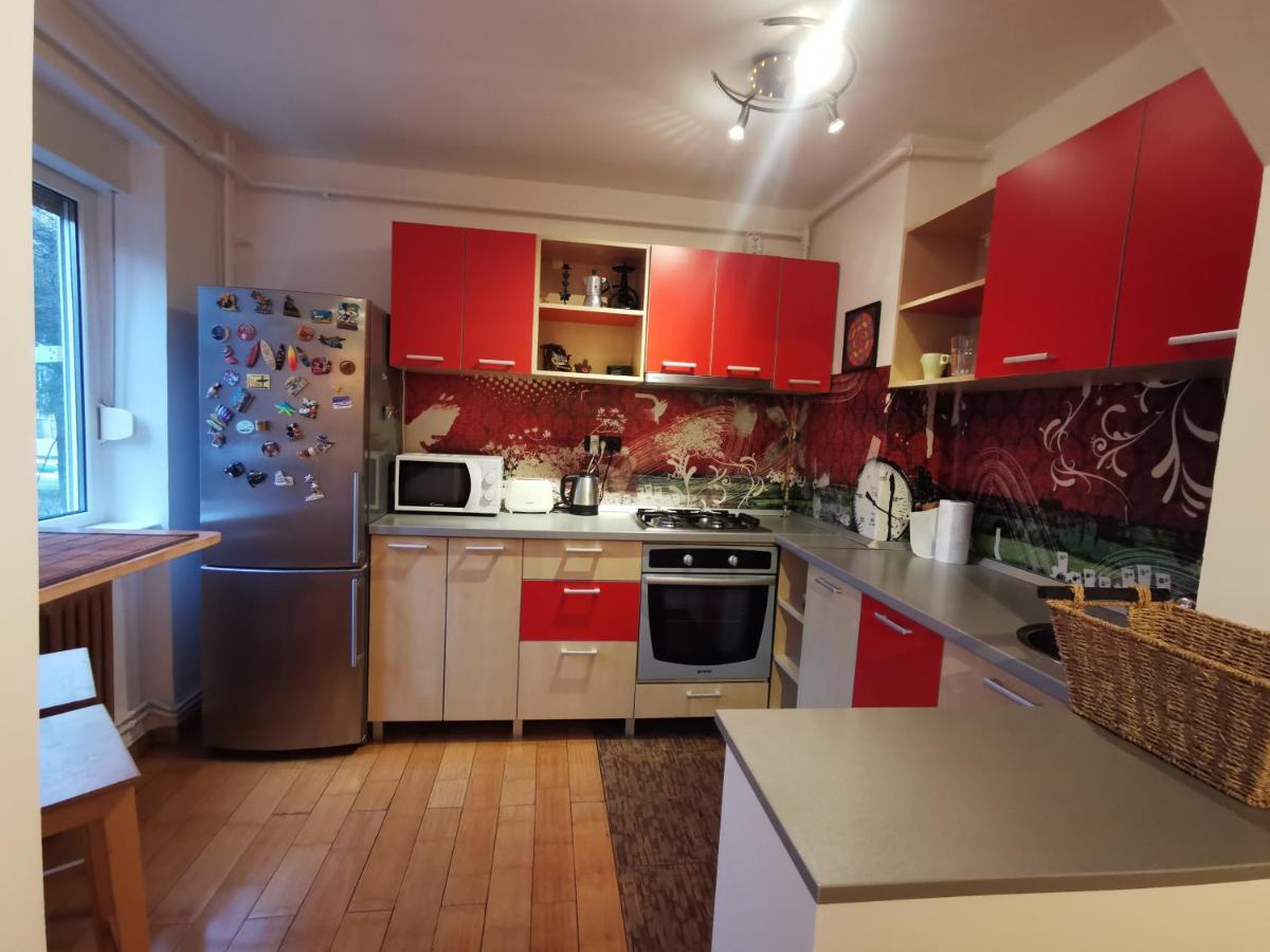 Comfy & Pleasant Apartment 10 Min Walk To Downtown Timişoara Exteriör bild