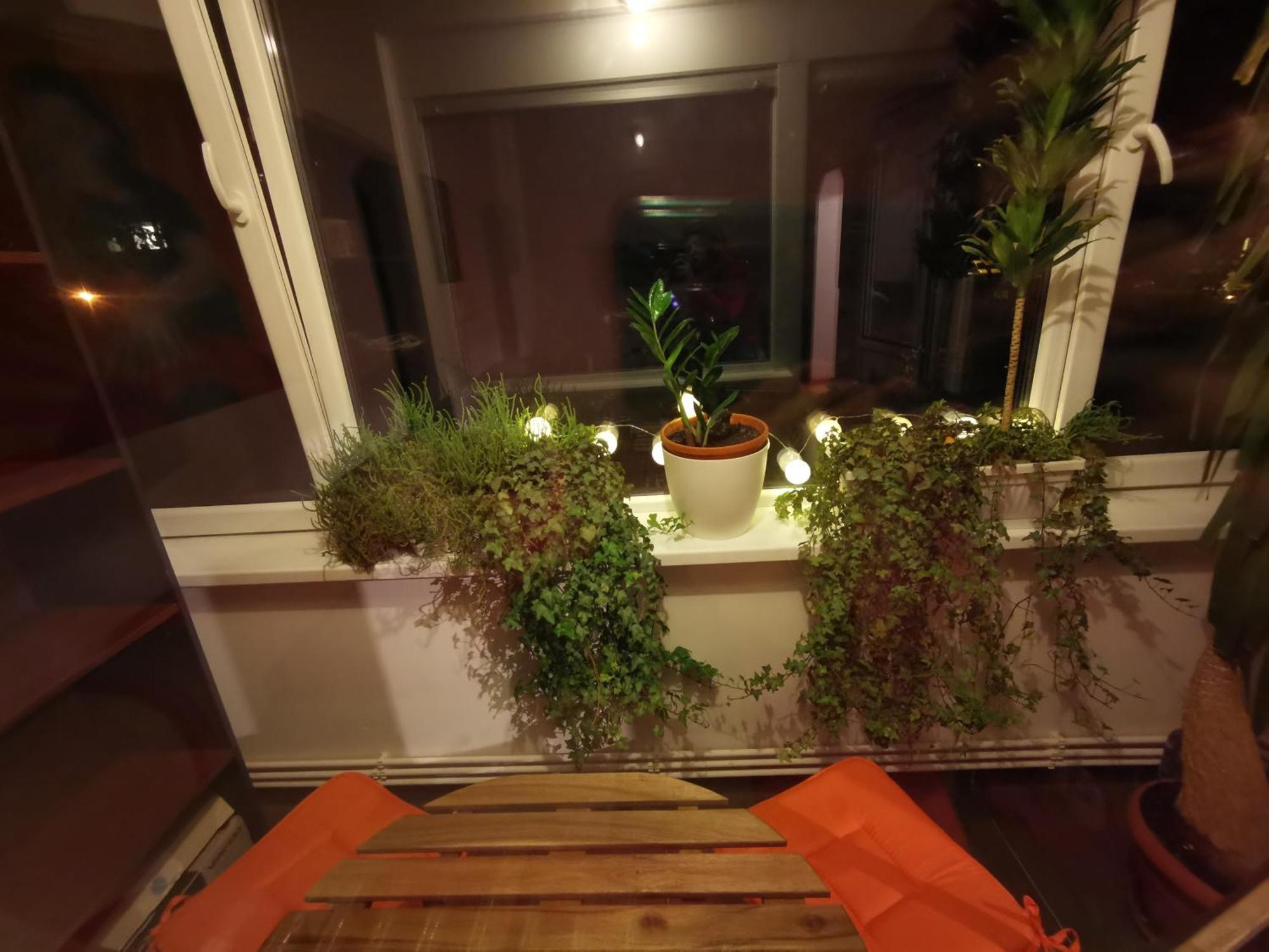 Comfy & Pleasant Apartment 10 Min Walk To Downtown Timişoara Exteriör bild