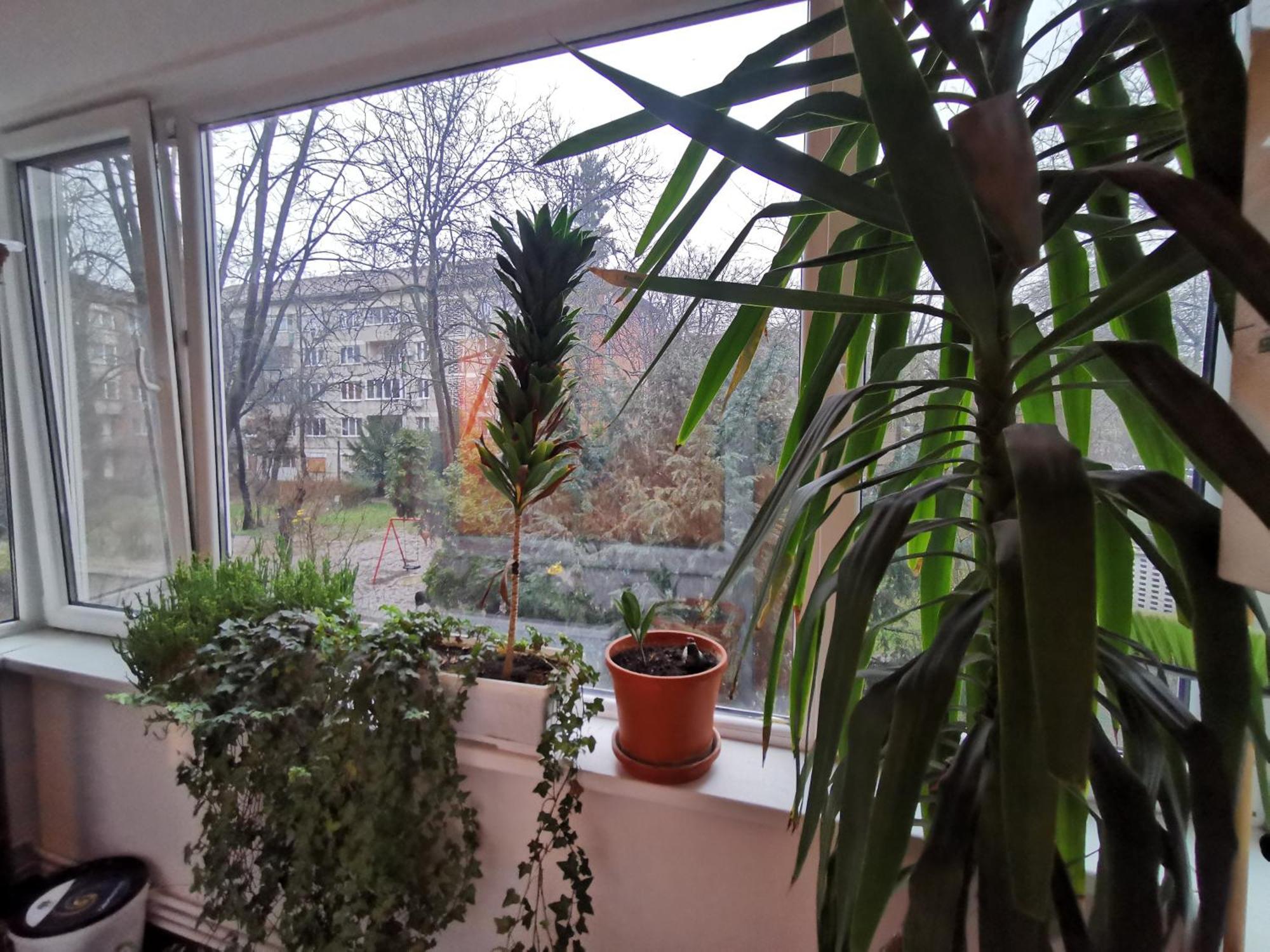 Comfy & Pleasant Apartment 10 Min Walk To Downtown Timişoara Exteriör bild