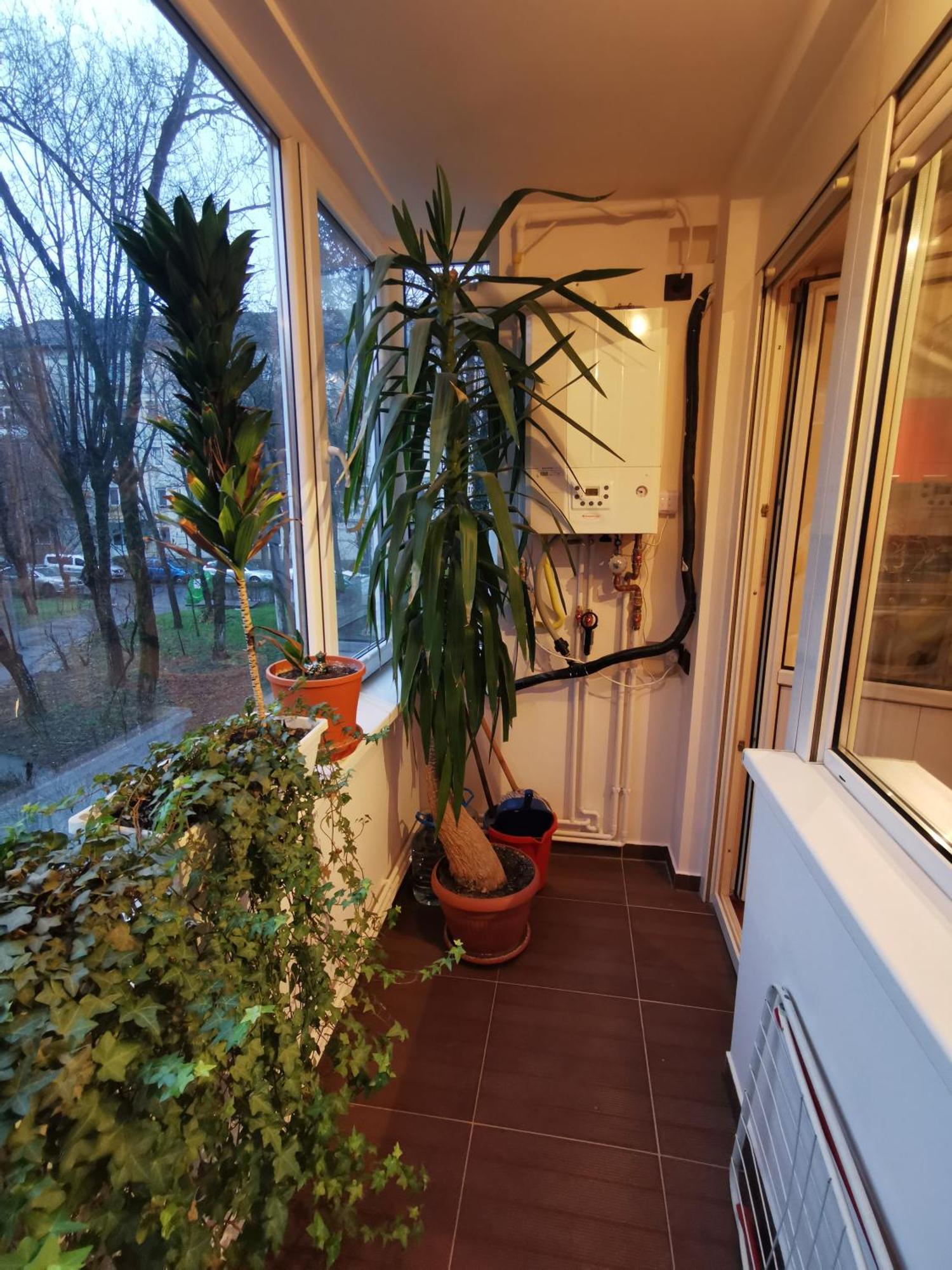 Comfy & Pleasant Apartment 10 Min Walk To Downtown Timişoara Exteriör bild